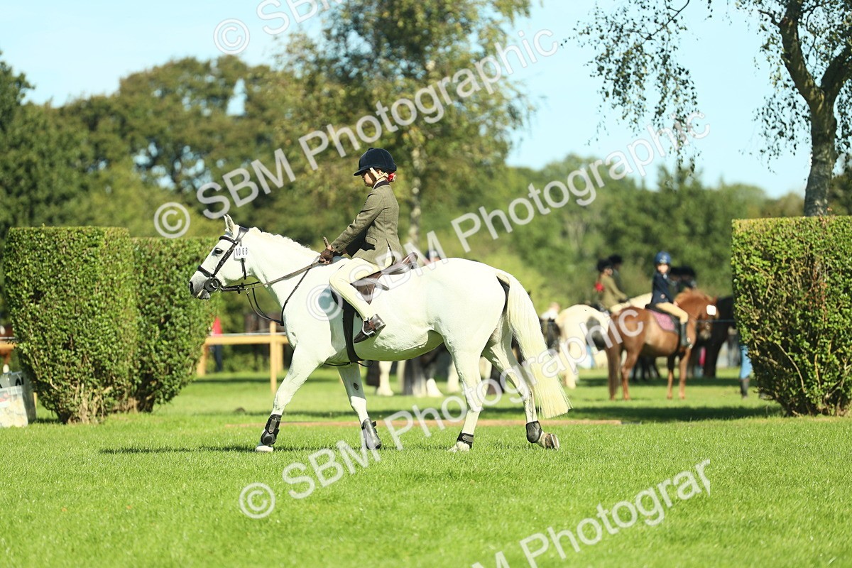 SBM_39141 - S29 - Novice & Newcomers Working Hunter Pony