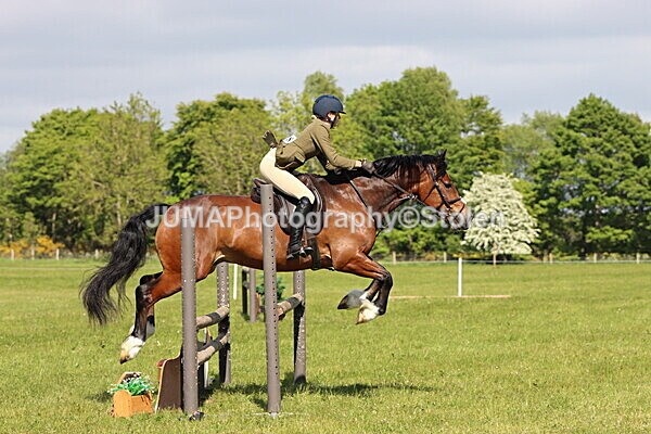 IMG_4701 - Working Hunter