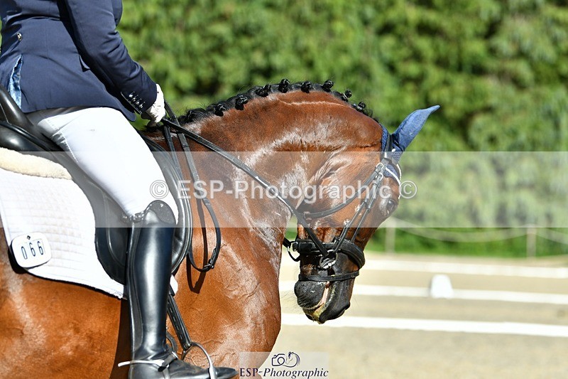 230623-171504-02986 - Cls 9 Advanced Medium 91Q