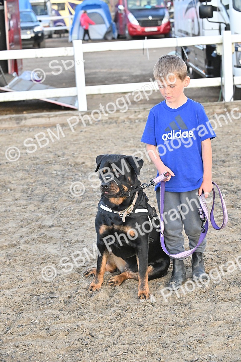 SBM_09620 - Lorry Dogs