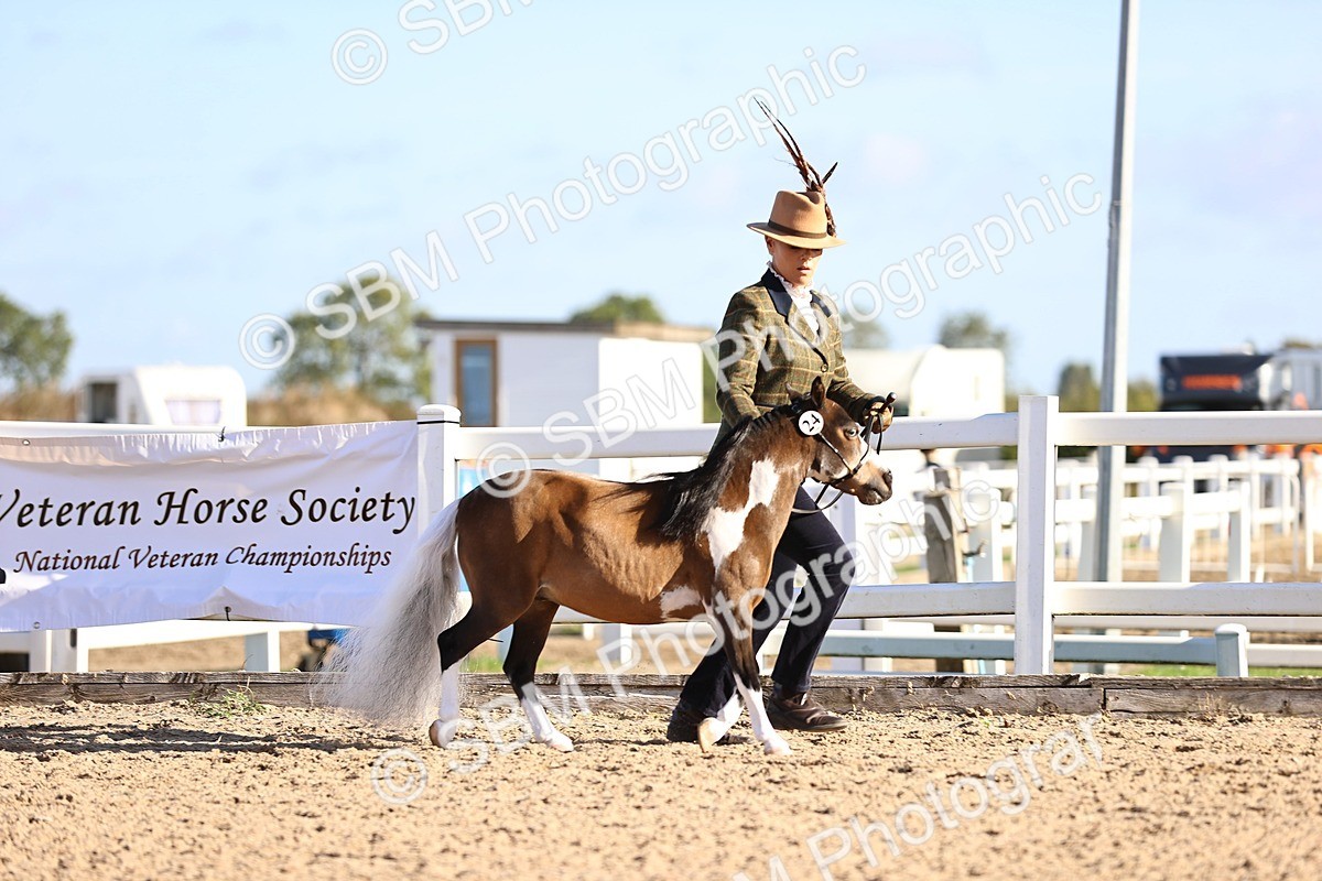 SBM_08456 - Class 402 - IH Veteran Pony