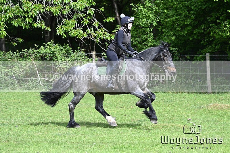 WJ7_2080 - Edited Examples