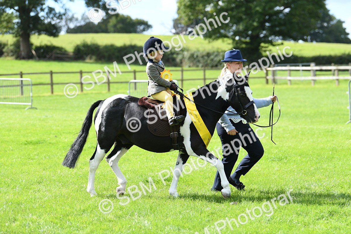 SBM_41282 - S19 - Lead Rein Show & Show Hunter Pony