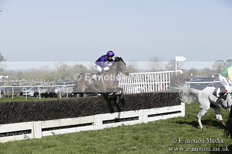 PtP 260317 269 - Mendip Farmers Point-to-Point Ston Easton 26/03/17
