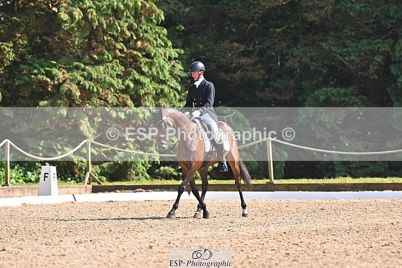 250523A-160207-07948 - B-373-Ben.Lee.Liles-FINCH.FANCY