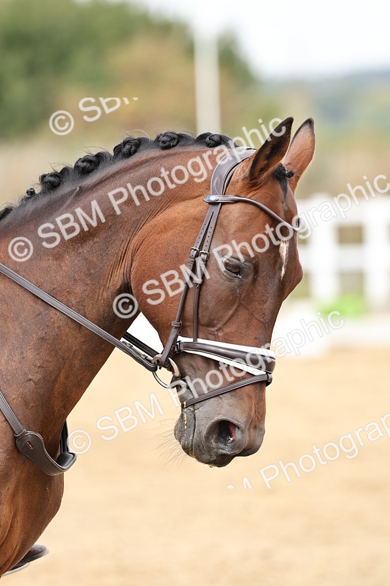 SBM_018309 - Class 16 - Novice 5 - 11.12-12.01