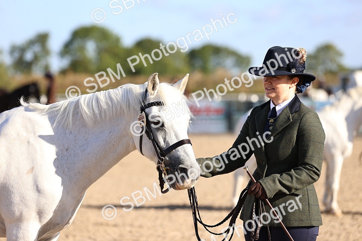 SBM_08492 - Class 402 - IH Veteran Pony