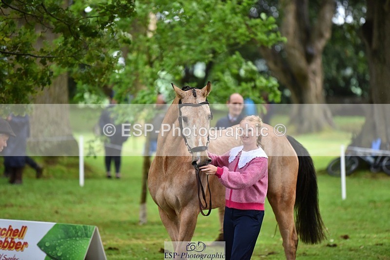 240522-155832-00613 - 109-MJM_BOBBY_DAZZLER-Rosie_Ringer