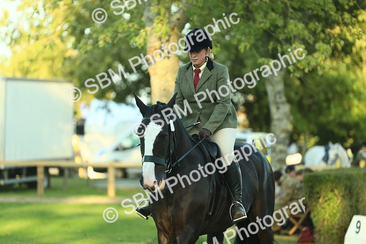 SBM_55646 - S14 - Riding Club Horse