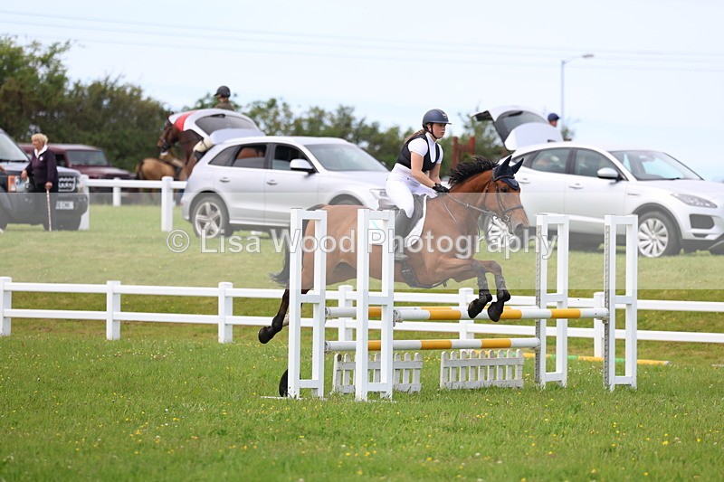 3E7A1744 - Class 13: Senior British Novice/90cm open