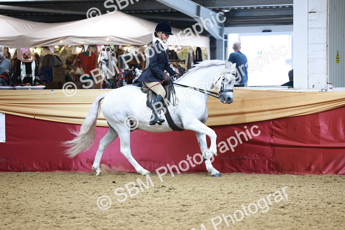 SBM_18786 - Class 952 - M&M Ridden Supreme Final