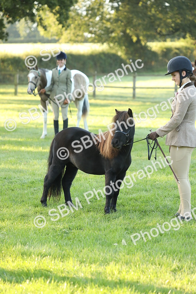 SBM_57845 - S42 - Youngstock