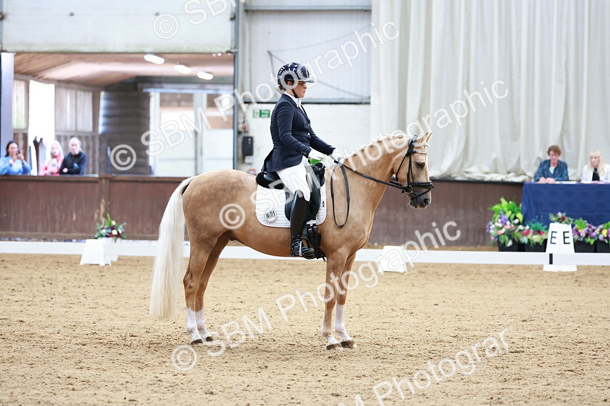 SBM_017296 - Class15 - FEI Pony