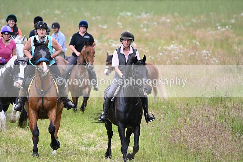 WJ6_8360 - Camera 1 Gallops