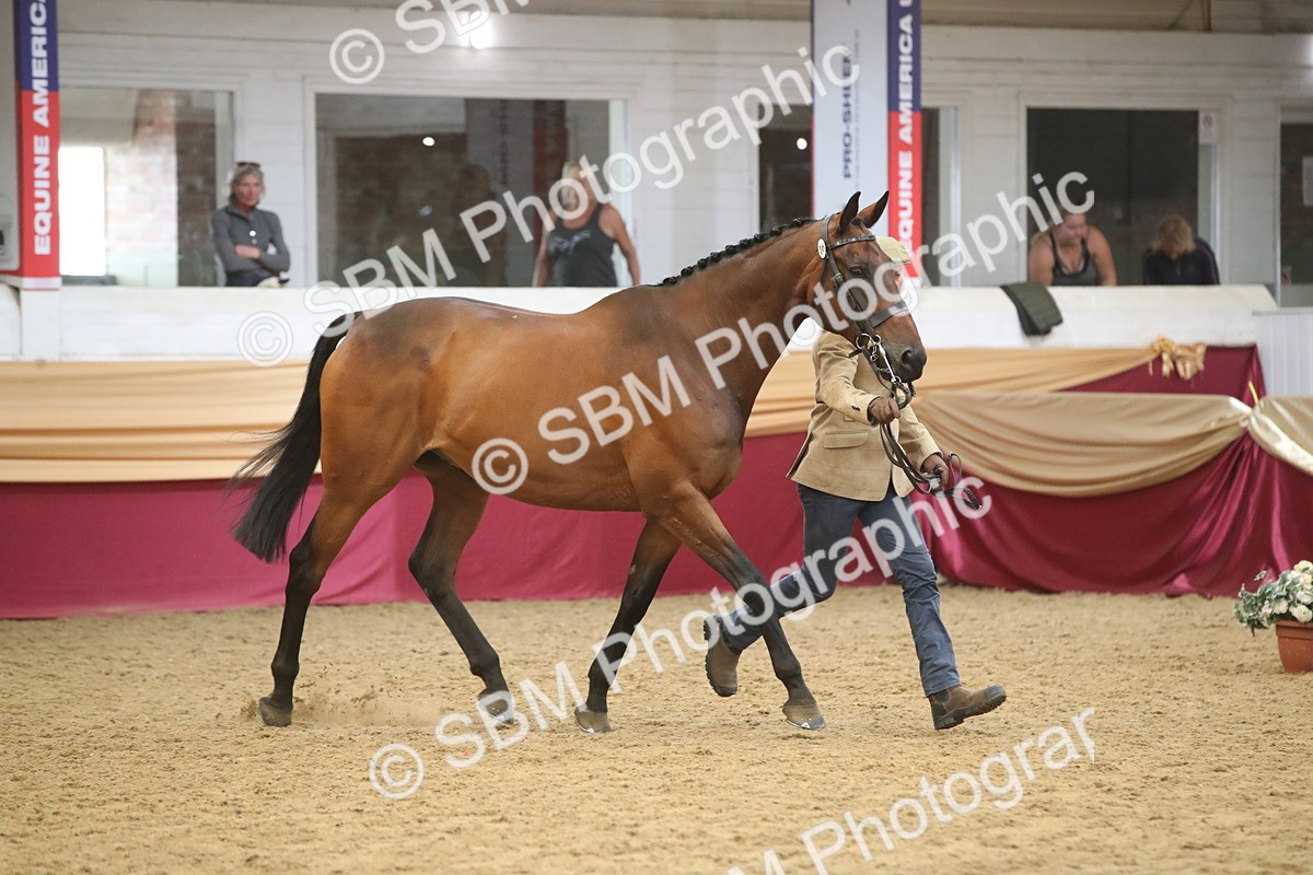 SBM_05683 - Class 9R - Regional IH Pre-Vet