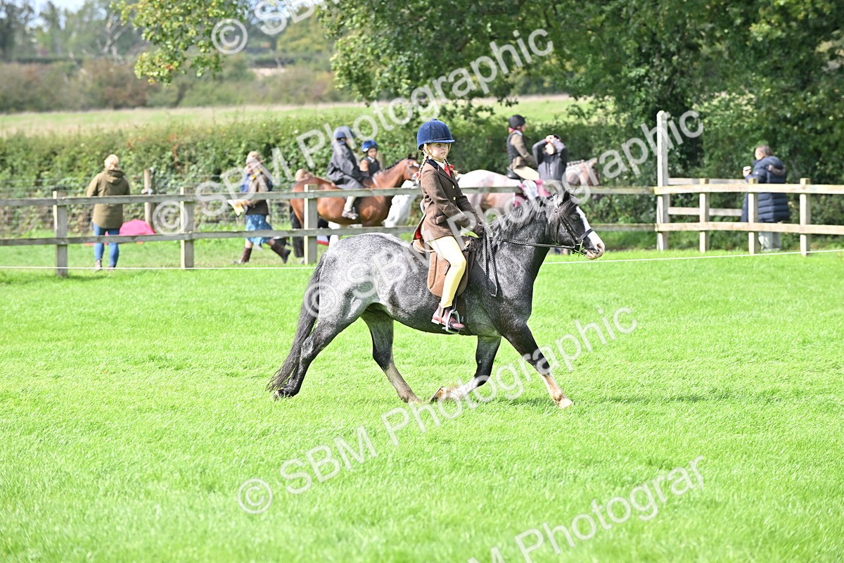 SBM_44516 - S13 - Pony Club Pony