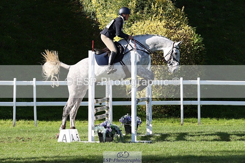 231022-144108-28280 - 485-BGS.MISTER.MUSCLE-Sally.Corrigan-TrotUp+SJ