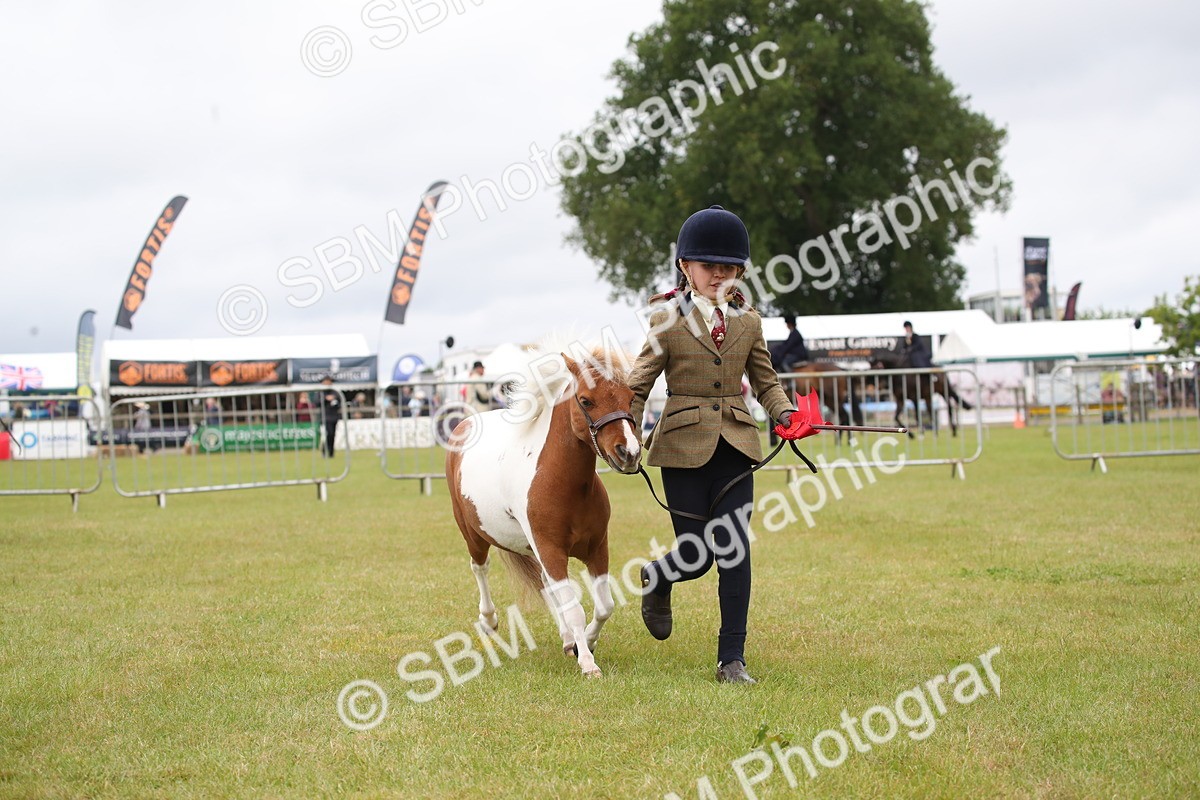 SBM_04024 - Class 23-25 - British Miniature Horse of the Year