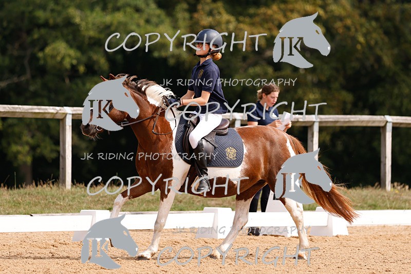 _R6A2326 - Dressage Morning