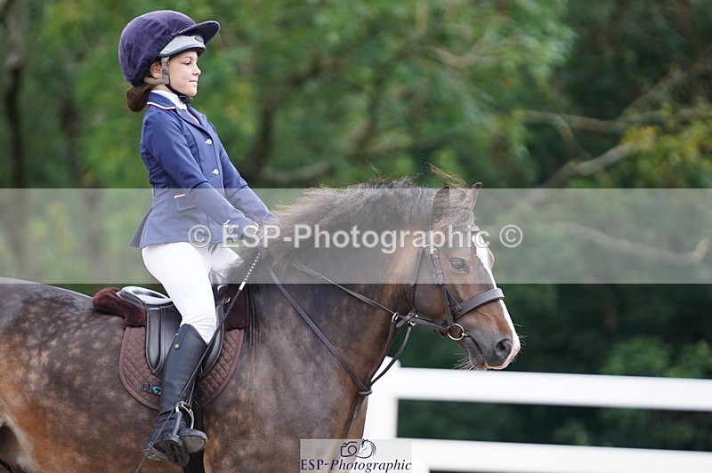 240809A-095720-00372 - Dressage Competition