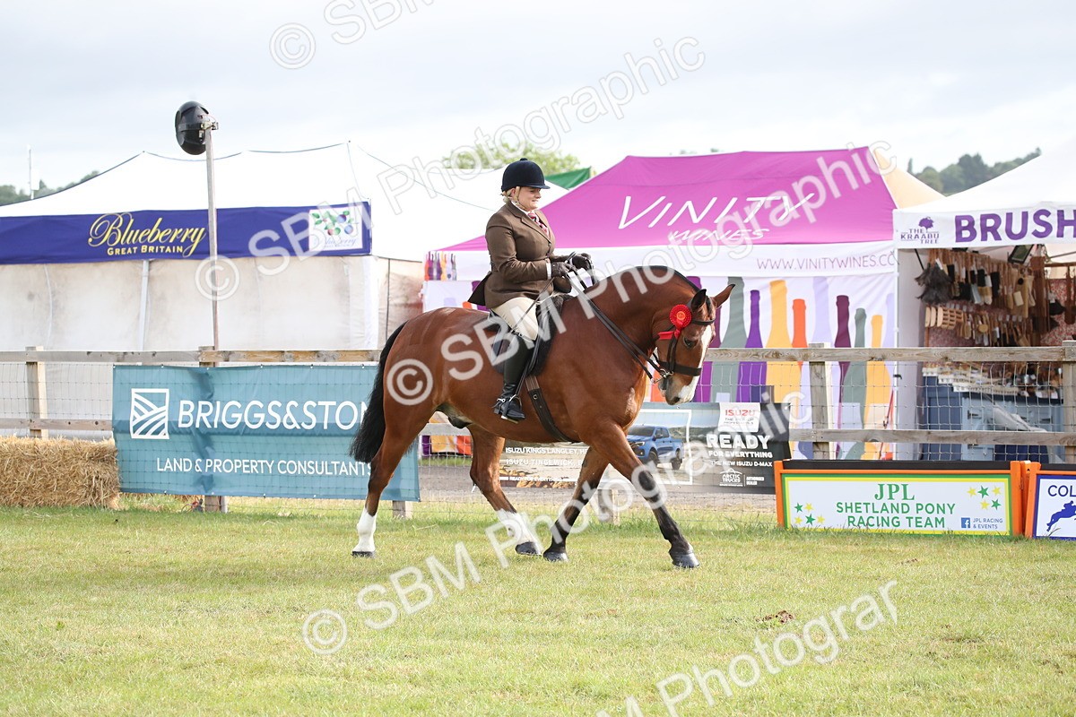 SBM_11167 - Class 92-93 - LIHS BSHA Rising Star Cobs