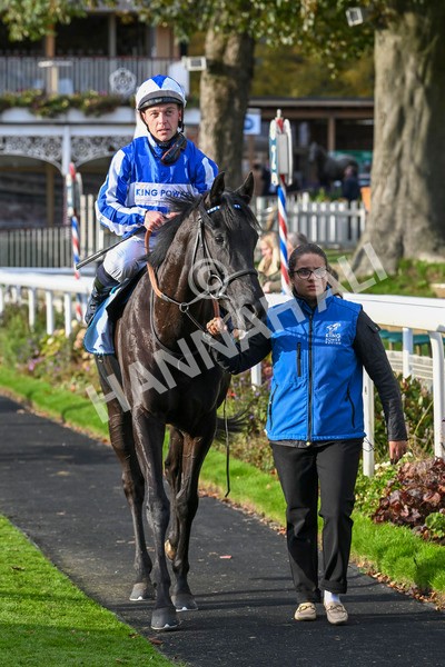 111024-Race 6-Fondo Blanco-2175 - Race 6 4.20pm William Hill EBF Novice Stakes