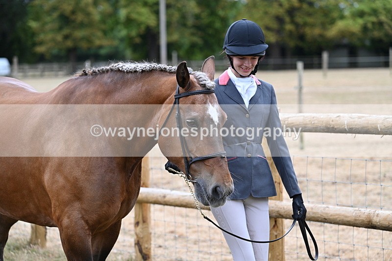 WJ7_9079 - Class 4a Prettiest Mare 14.2hh and over