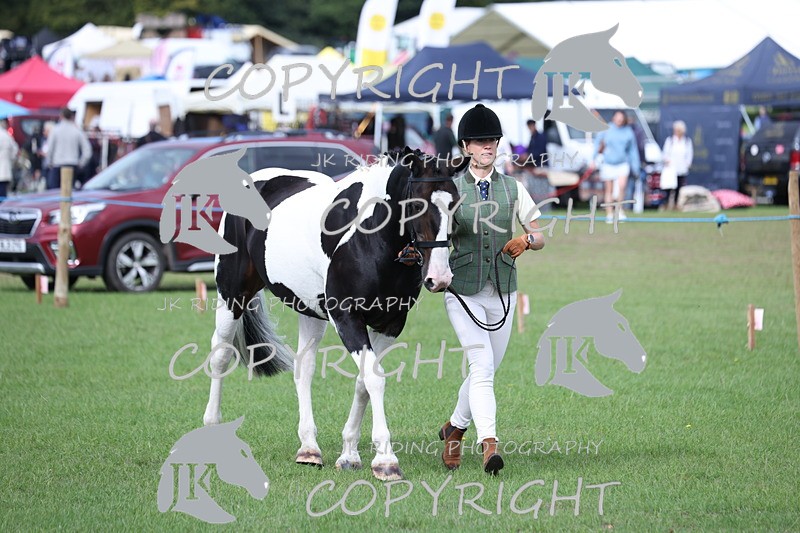 APP_2654 - Class 9 Veterans in hand