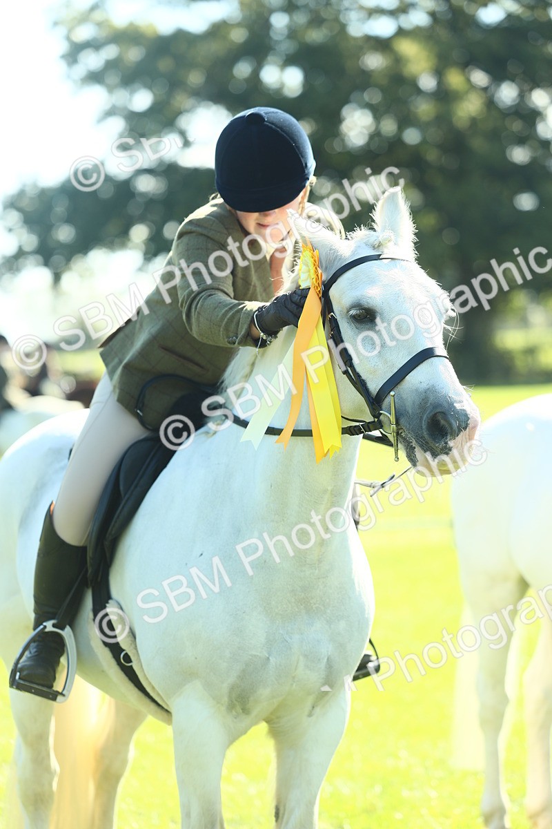 SBM_39084 - S29 - Novice & Newcomers Working Hunter Pony