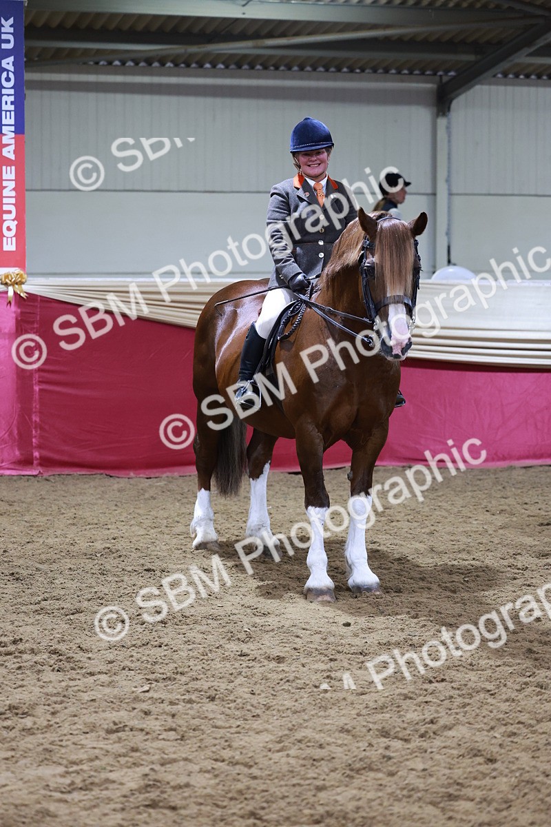 SBM_18866 - Class 952 - M&M Ridden Supreme Final