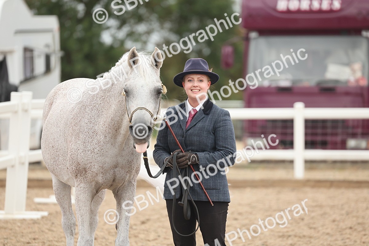 SBM_19329 - Class 317 - IH Pure Bred Horse-Pony