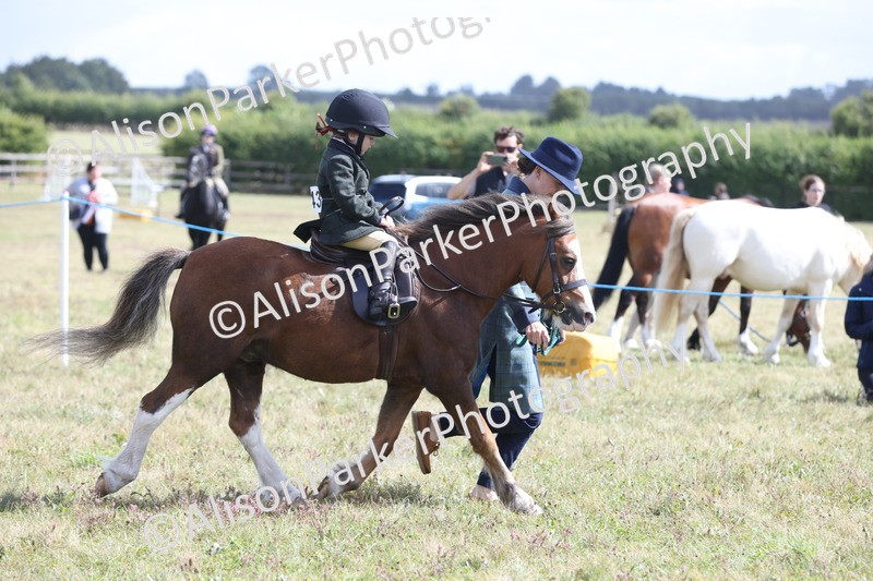 20250831-2725 - Class 17 - Lead Rein Pony