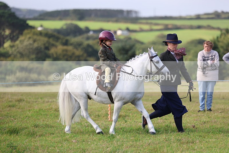 3E7A3344 - Class 2: Lead rein