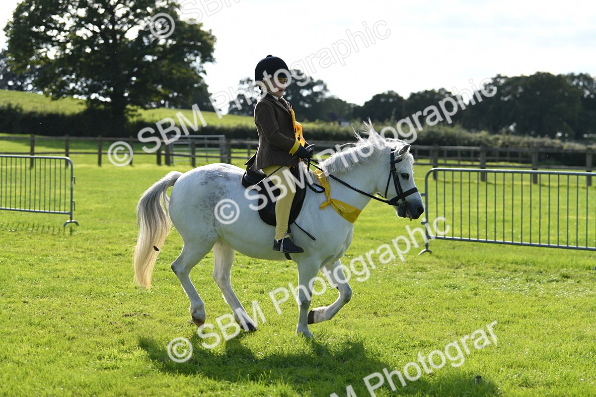 SBM_50511 - S21 - Novice & Newcomers 1st Ridden Pony