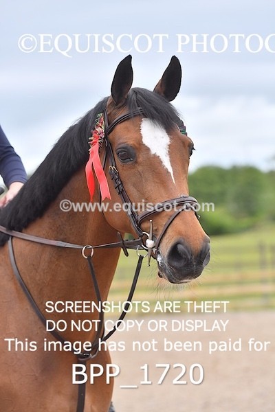 BPP_1720 - FRI CLASS 4 Senior Newcomers/ 1.10m Open