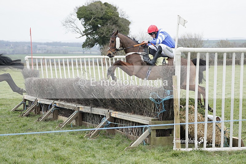 PtP 050323 483 - Blackmore & Sparkford Vale Hunt PtP - Somerset 05/03/23