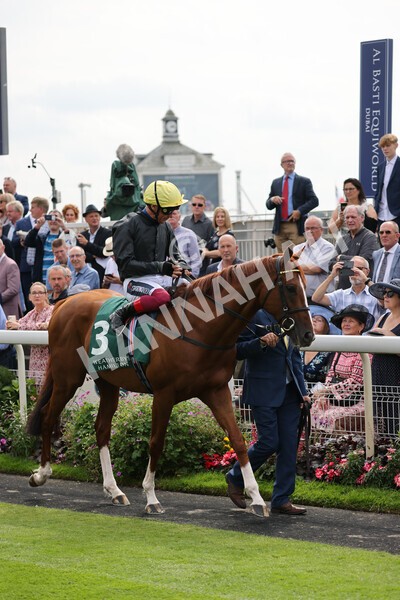 yr20082021r2-24 - Race 2 2.25pm Weatherbys Hamilton Lonsdale Cup (British Champion Series race)