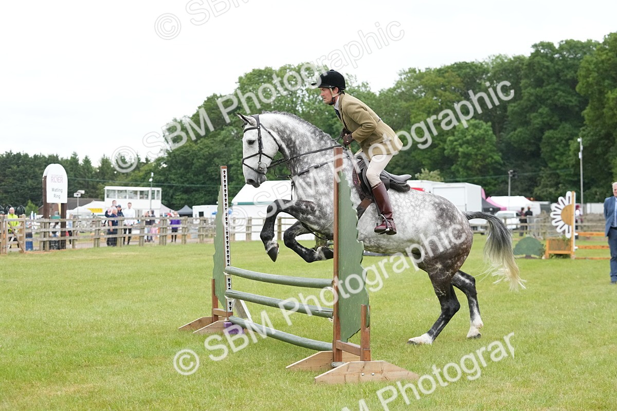 SBM_12603 - Class 97-98 - LIHS BSHA Rising Star Working Show Horse Hunter