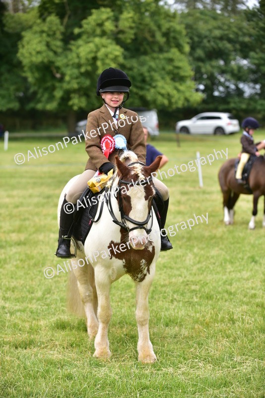 20260614-4236 - Class 17 - Best Mane and Tail
