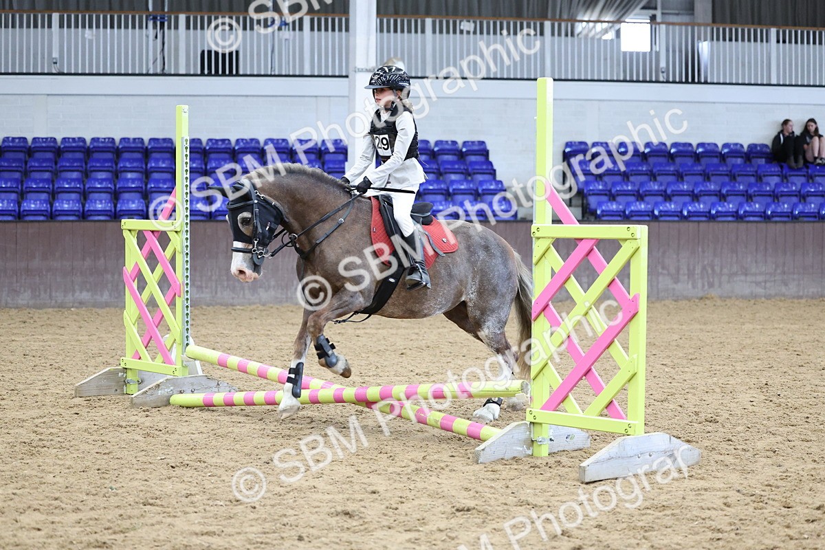 SBM_007005 - Class 1 - 40cm showjumping