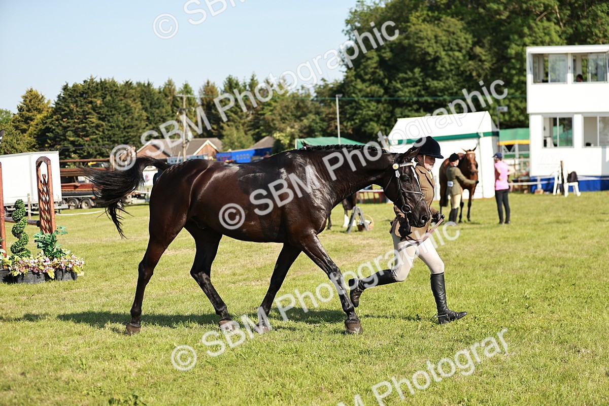 SBM_19299 - Class 115-116 - LIHS BSHA Rising Star Working Hunter & Show Horse
