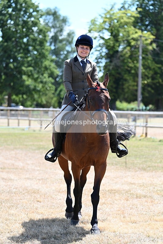 WJ7_2835 - Class 7 Riding Club Show Horse