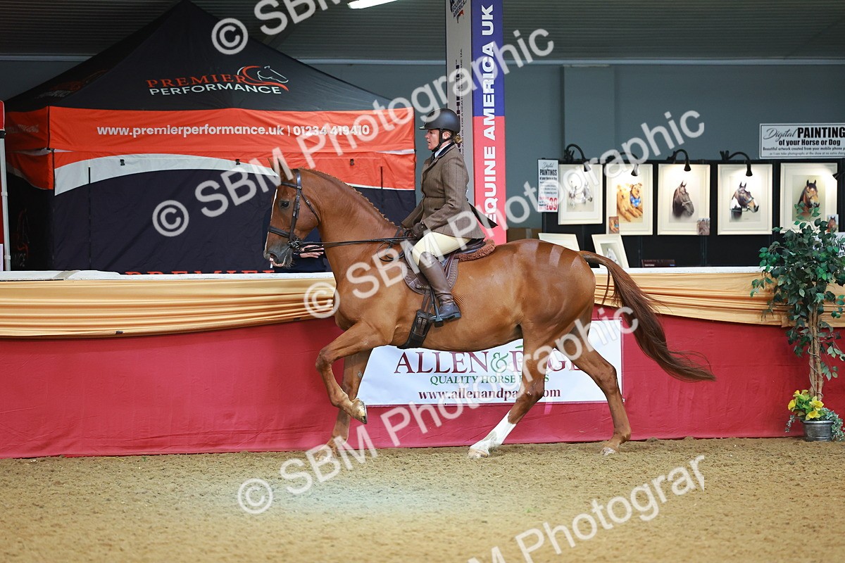 SBM_09494 - Class 102 - HOYS Veteran Qualifier - Ridden Veteran