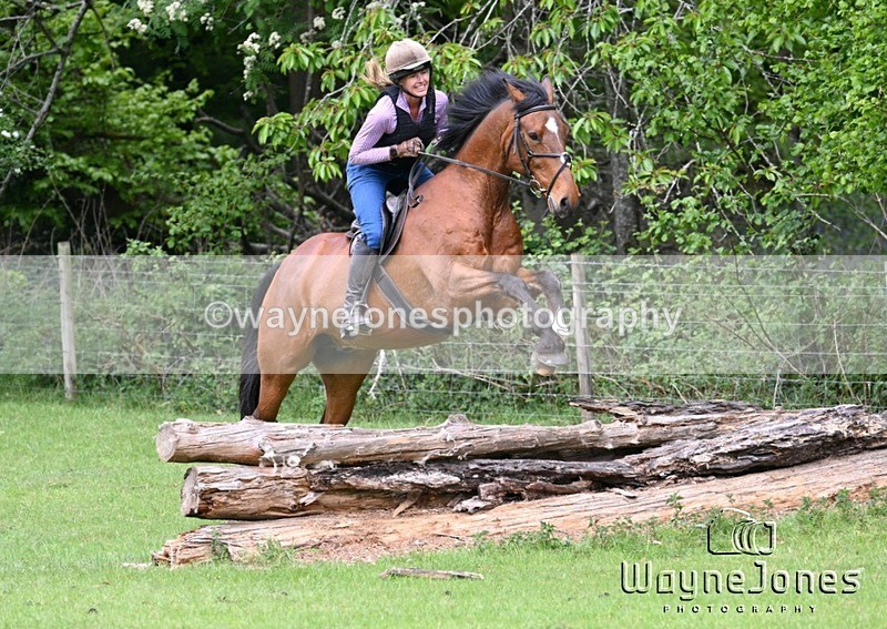 WJ7_2345 - Edited Examples