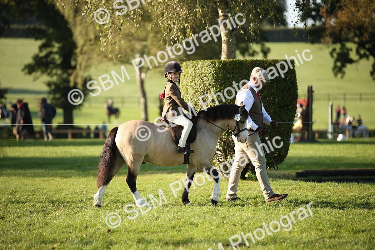 SBM_34183 - S9 - Lead Rein Equitation