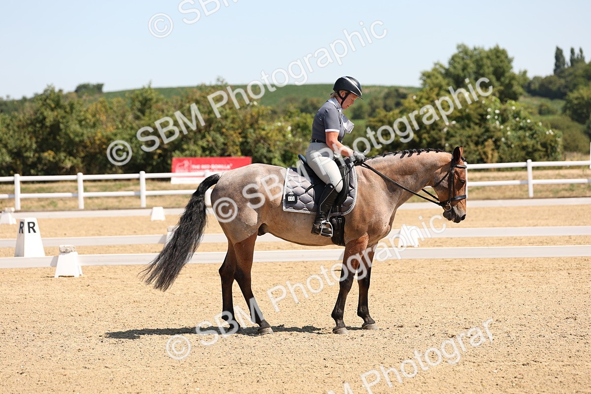 SBM_001175 - Intro 2