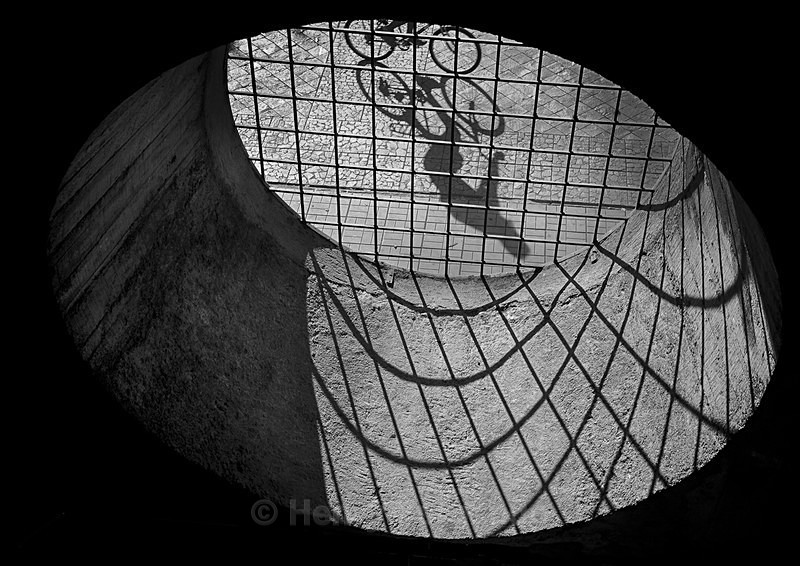 - 2015 Winner - Curvilinear (Darkroom Gallery)