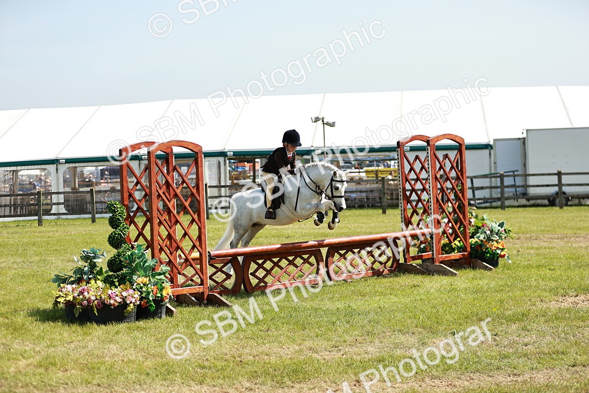 SBM_13541 - Class 108-109 - BSPS LIHS Open Gradle & Nursery Stakes