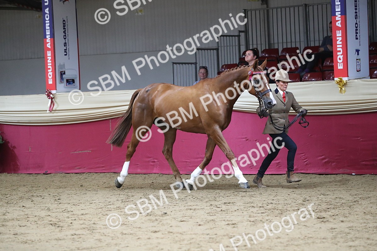 SBM_04958 - Class 8R- Regional -IH Veteran