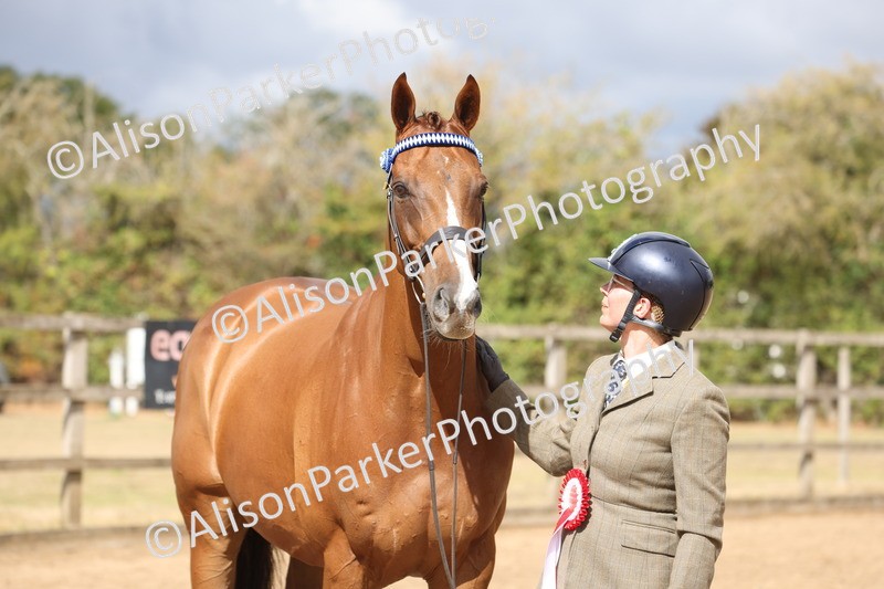 20260831-1995 - Class 5 - Retraining of Racehorses